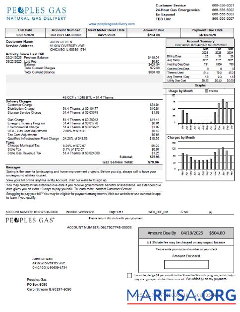 Printable USA Peoples Gas utility bill template in Word and PDF formats, version 2